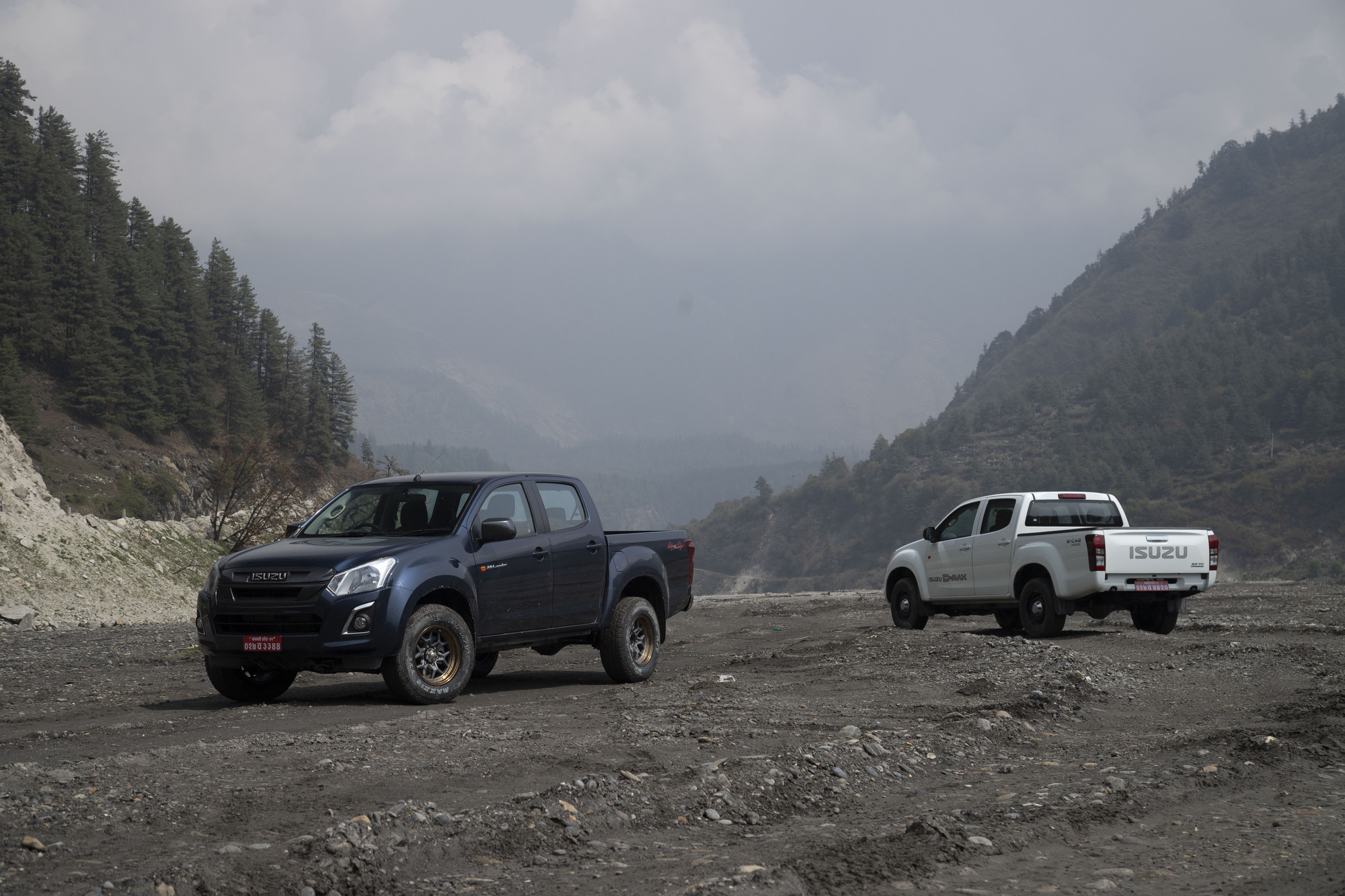 isuzu